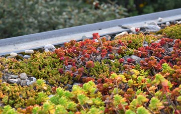 the cost of Derriton green roof installation