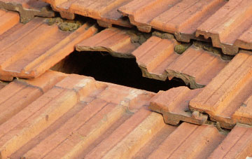roof repair Derriton, Devon