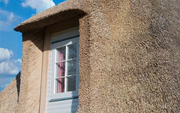 Derriton thatch roof disadvantages